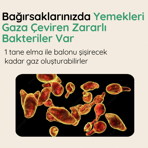 Kekik ve Çörek Otu Yağı birleşimi 30 Softgel | 1200mg